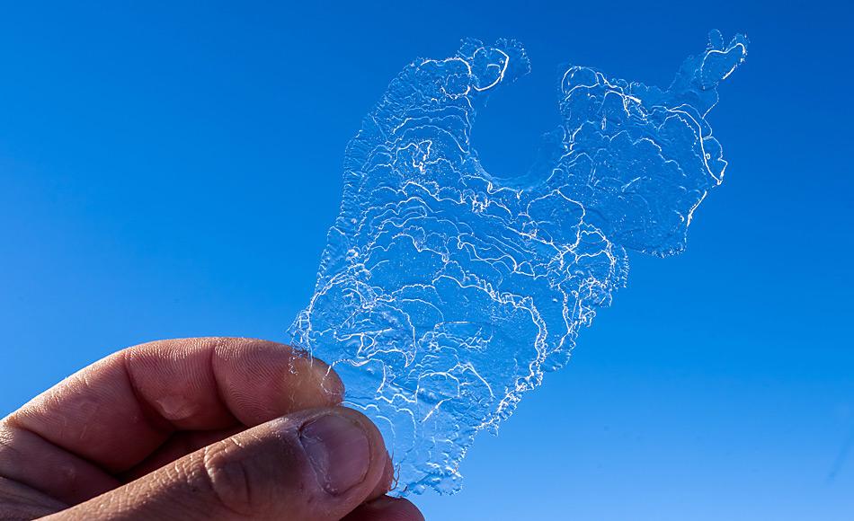 Nahaufnahme eines typischen Eisplättchens aus der Atkabucht, Weddellmeer, Antarktis. Die Plättchen messen bis zu 20 Zentimeter im Durchmesser. Foto: AWI, Mario Hoppmann